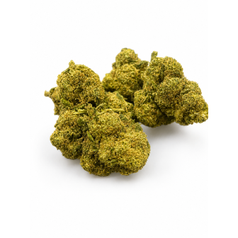 ORANGE SHERBET